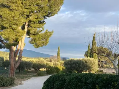 a path through a garden with trees and bushes at Gîte au milieux des oliviers. in Caromb