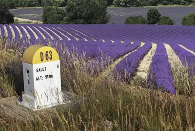 a sign in front of a field of purple flowers at Bastide le Seigneur in Sault-de-Vaucluse