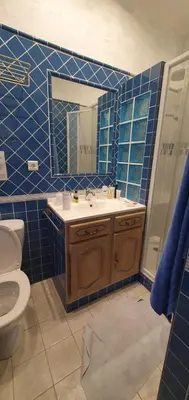 a bathroom with a sink and a toilet and a mirror at Bastide le Seigneur in Sault-de-Vaucluse