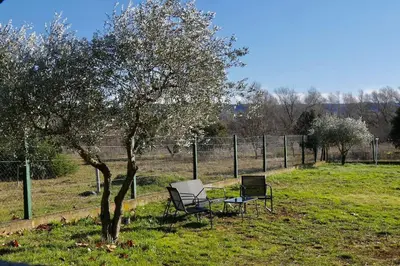 two chairs sitting next to a tree in a field at Soleil d’ocre - Bastide à Roussillon in Roussillon