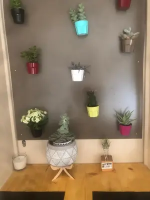 a room with a bunch of potted plants on a wall at la chambrette in Lincel