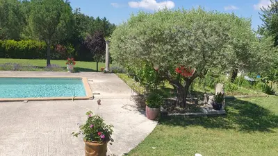 a garden with a tree and a swimming pool at la chambrette in Lincel