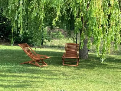 two wooden chairs sitting in the grass under a tree at Halte Vintage. A l’ombre du saule. in Carpentras