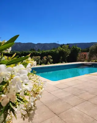 a swimming pool with white flowers in front of it at Le Clos Renaissance in Oppède