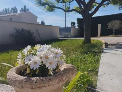 a vase filled with white flowers in a yard at Maisonnette en campagne au calme in Carpentras