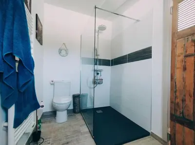 a bathroom with a toilet and a glass shower stall at Maisonnette en campagne au calme in Carpentras