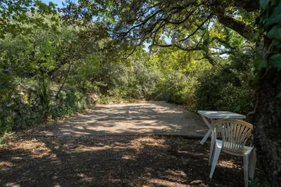 a bench sitting on a dirt road under a tree at Provencal bastide with heated pool near Alpilles and Luberon in Vernègues