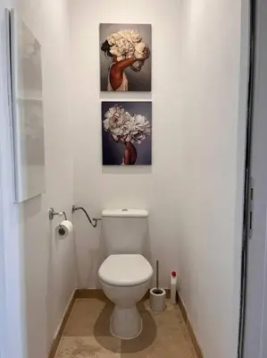 a bathroom with a toilet with two pictures on the wall at Le Platane Maison climatisée avec piscine in Monteux