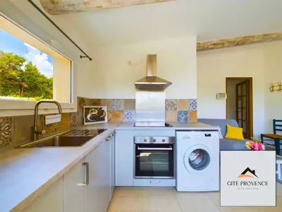 a kitchen with a sink and a washing machine at Gîte de la Draillette in Noves