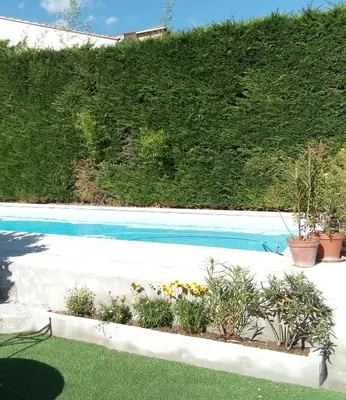 a swimming pool with plants in front of a hill at Hote-Aix-Centre-garage-piscine in Aix-en-Provence