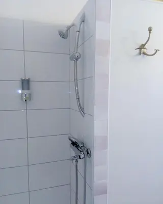 a bathroom with a shower with a lizard on the wall at Hote-Aix-Centre-garage-piscine in Aix-en-Provence