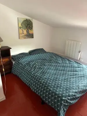 a bedroom with a bed with a blue comforter at plein coeur de BANON in Banon
