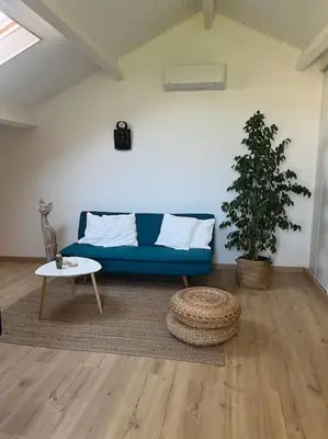 a living room with a blue couch and a plant at Spacieux studio 2 à 3 personnes au pied du Ventoux km Zéro in Bédoin
