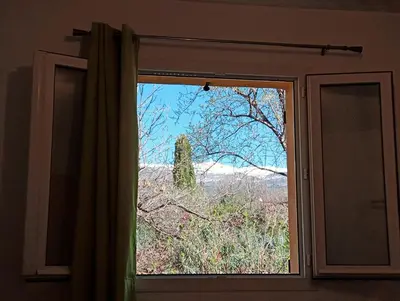 a window with a view of a tree at Gîte PITCHOU au pied du VENTOUX in Flassan