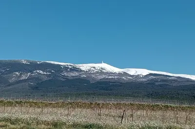 a snow covered mountain with a fence in front of it at Gîte PITCHOU au pied du VENTOUX in Flassan