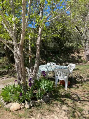 a table and chairs under a tree with flowers at Maison au Colorado Provençal in Rustrel