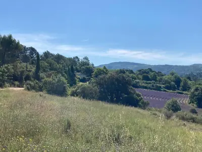 a view of a hill with trees and a road at Maison au Colorado Provençal in Rustrel