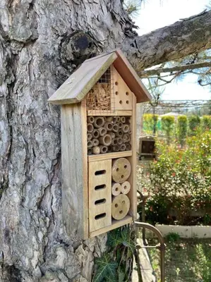 a bird house on the side of a tree at Le charme de Landra in Pernes-les-Fontaines