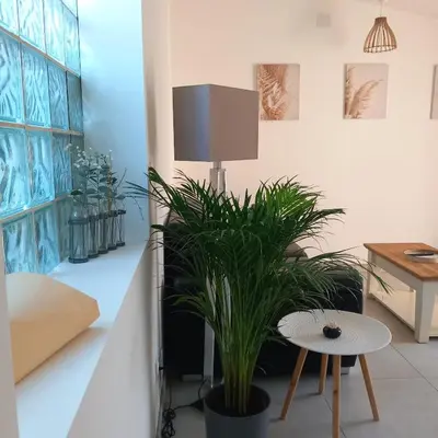 a living room with a potted plant and a table at Gîte Le Jasmin in Le Thor