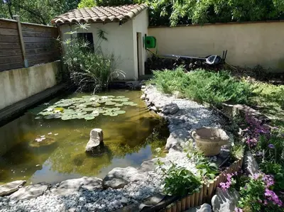 a garden with a pond with lilies and a house at Maison en Provence in Entraigues-sur-la-Sorgue