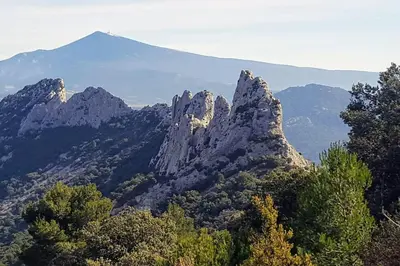 a mountain with trees and mountains in the background at Maison en Provence in Entraigues-sur-la-Sorgue