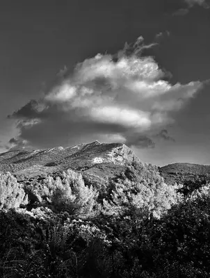 a black and white photo of a mountain with trees at La glycine in Saint-Marc-Jaumegarde