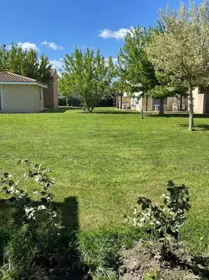 a field of grass with trees and a house at Villa Tia - Appartement 2 chambres - piscine - bord de lac in Saint-Saturnin-lès-Avignon