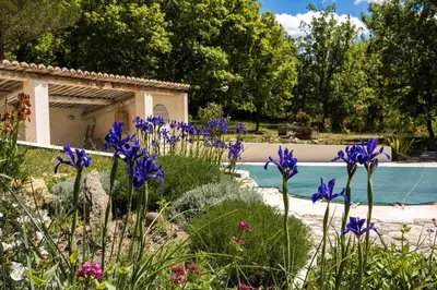 a garden with purple flowers and a swimming pool at Les Lavandes in Saignon