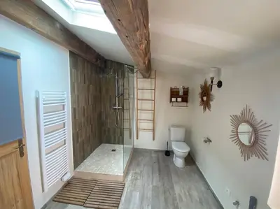 a bathroom with a shower and a toilet in it at Luberon en Provence - La maison de Michèle au cœur de Goult in Goult