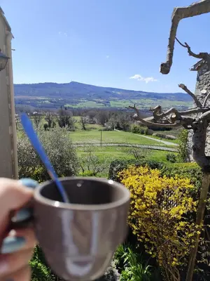 a cup of coffee with a view of a field at Gite au nid d'Ange in Lincel