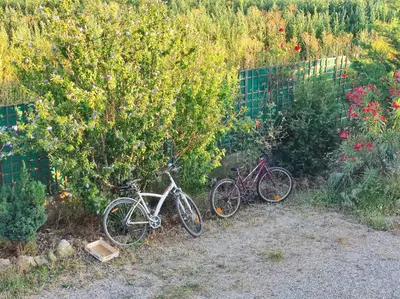 three bikes parked next to a tree in a garden at Chambre 3 personnes avec salle de bain dans mas du Lubéron in Robion en Luberon