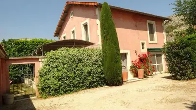 a house with a large green tree in front of it at Villa élégante à Cavaillon avec piscine in Cavaillon