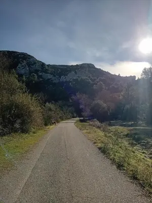 an empty road with a mountain in the background at T3 campagne Aix-en-Provence in Meyrargues