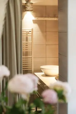 a bathroom with pink flowers on a counter at LE MAS DE LA TERRE - Chambres d'hôtes in LʼIsle-sur-la-Sorgue