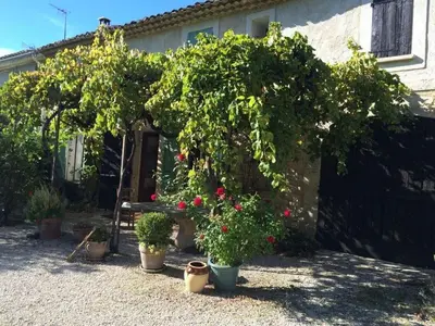 a garden with potted plants in front of a house at Oud Wijnhuis Mas in Sénas