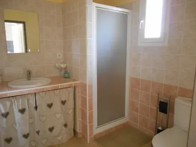 a bathroom with a shower and a sink and a toilet at Le Cabanon d'Amandine et Gabriel in Blauvac