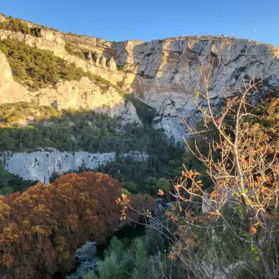 a view of a canyon with trees and mountains at La Calade in LʼIsle-sur-la-Sorgue