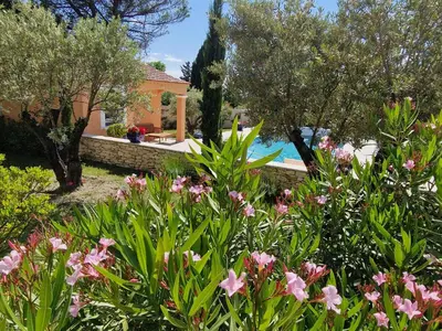 a garden with pink flowers and a swimming pool at la Cigalière in LʼIsle-sur-la-Sorgue