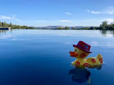 a rubber duck wearing a hat on a lake at La Grisonne Chalet 2 in Revest-du-Bion