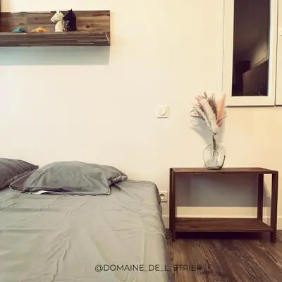 a bedroom with a bed and a table with a vase on it at Appartement à la campagne in LʼIsle-sur-la-Sorgue