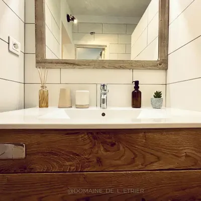 a bathroom with a sink and a mirror at Appartement à la campagne in LʼIsle-sur-la-Sorgue
