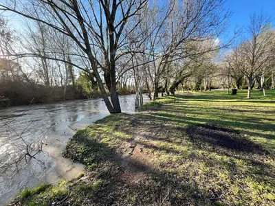 a tree sitting on the side of a river at Maison : L'Appart des Anges 10 personnes in Althen-des-Paluds
