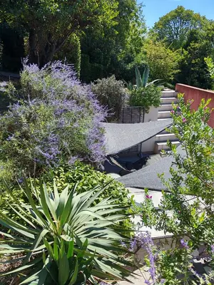 a garden with purple flowers and plants and stairs at chambre d'hote de charme 