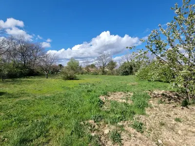 a field of grass with trees and clouds in the sky at Les copains d'abord ! in Lacoste