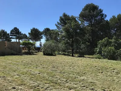 a field of grass with trees in the background at Gîte de L'Embuissonnade in Montfuron