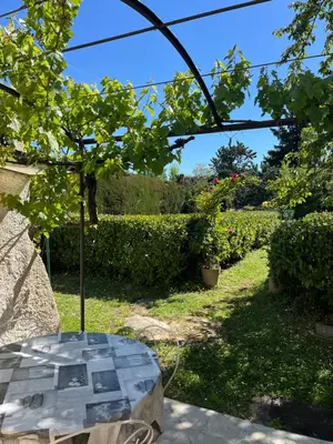 a table in a garden with a tree on it at La Port-Gentillaise in Aix-en-Provence