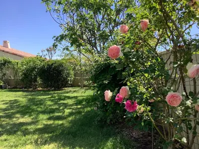 a fence with pink roses in a yard at PERNO LI FONT villa contemporaine avec piscine in Pernes-les-Fontaines