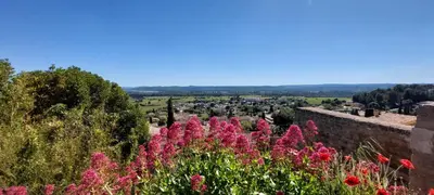 a view of a garden with pink flowers at Gîte de L'Olivier, classé, climatisé, jardin avec parking gratuit devant le logement et à 5 minutes du centre-ville à pied in LʼIsle-sur-la-Sorgue