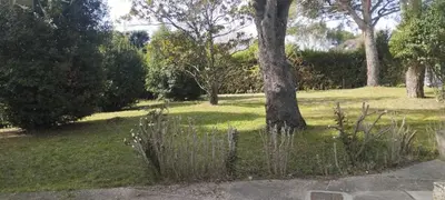 a park with a tree and some grass and trees at Appartement privatif avec extérieur in Aubignan