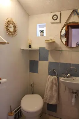 a bathroom with a toilet and a sink and a mirror at Lou Pitchoun Cabanoun à Eygalières 